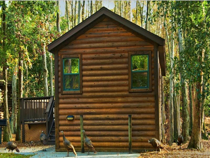 The Cabins At Disney'S Fort Wilderness Resort Lake Buena Vista Exterior photo
